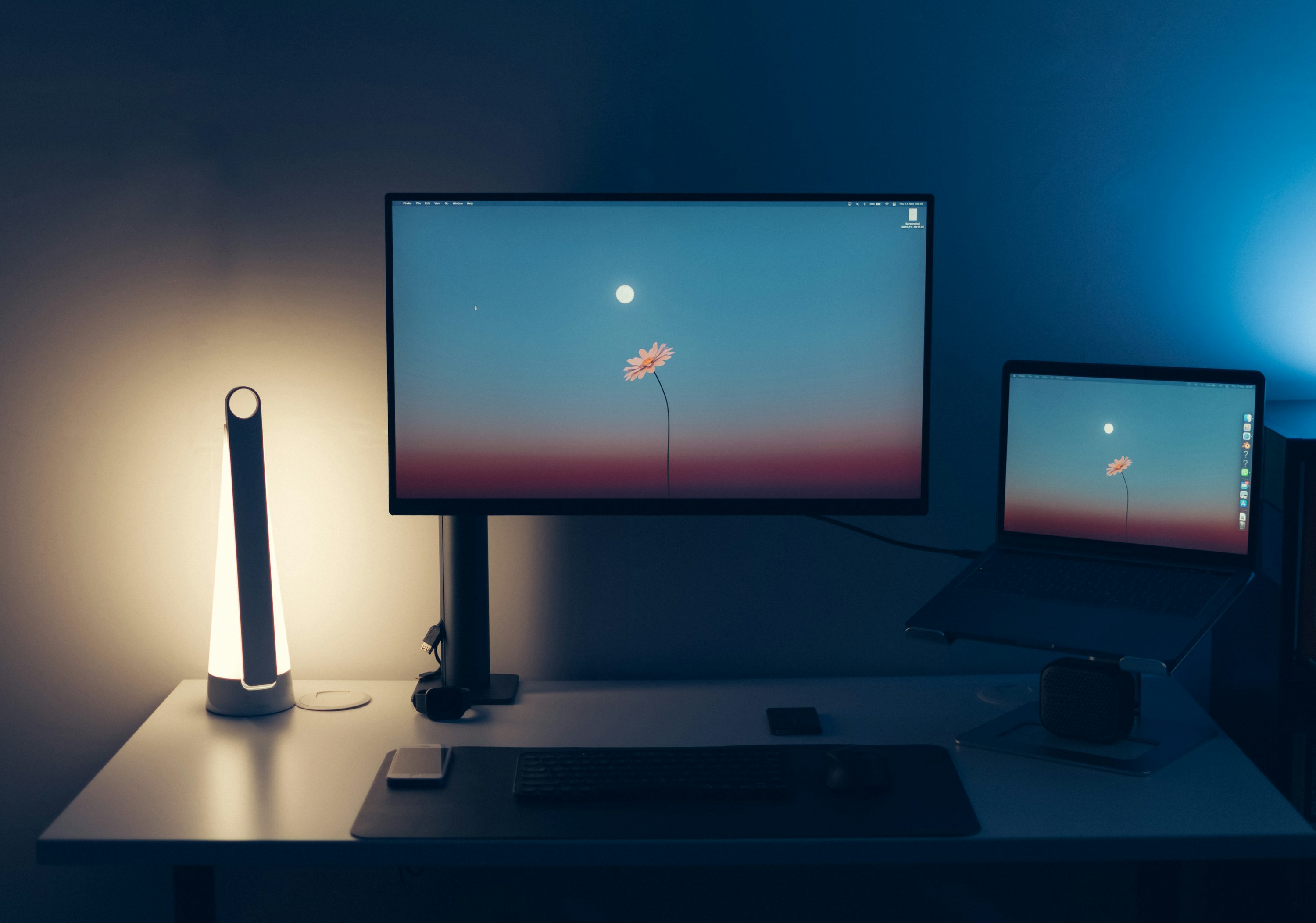 React Web Development