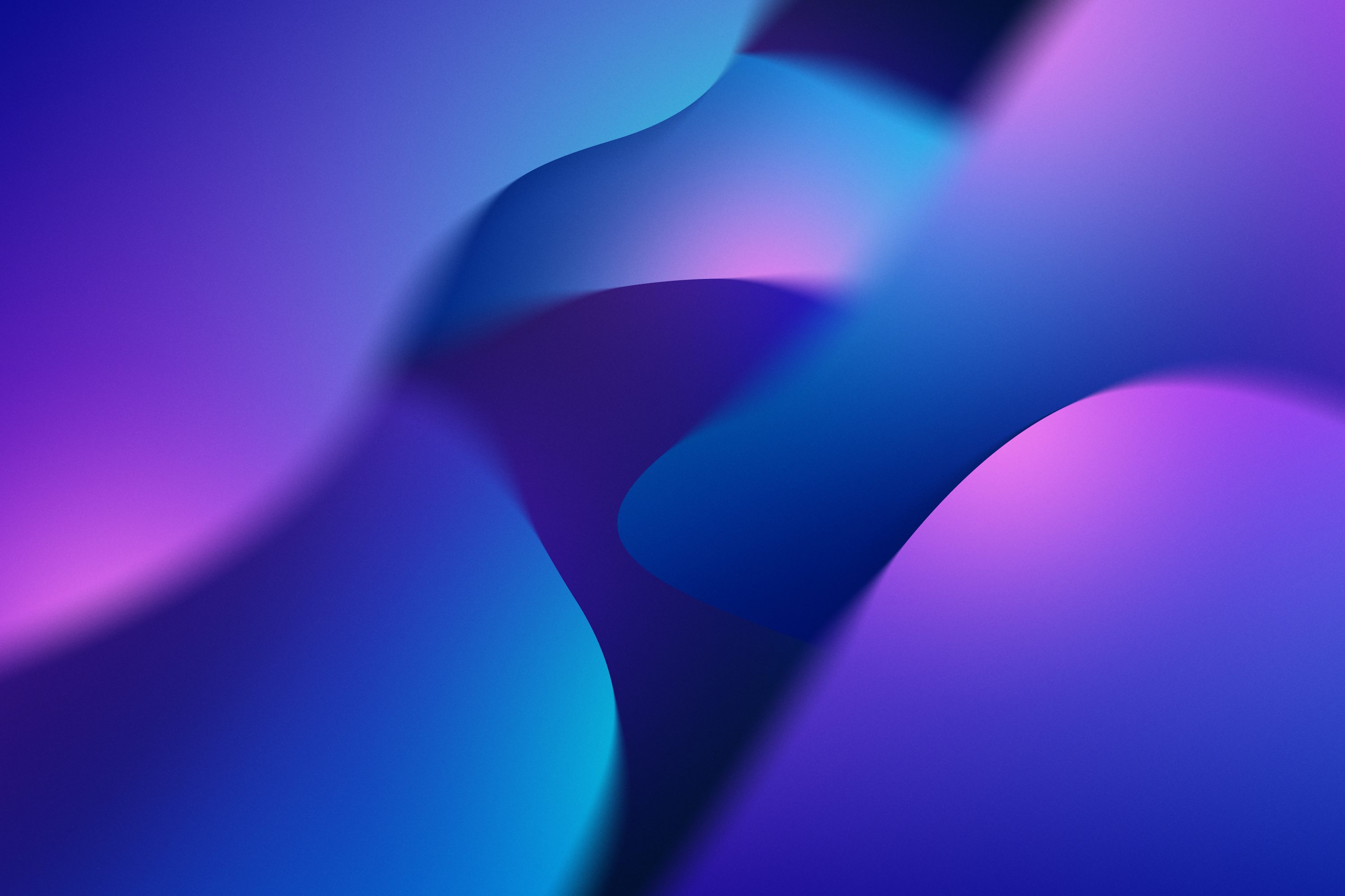 React Web Development