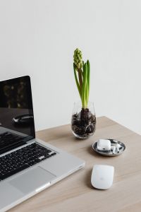 Choosing Technology Stack
