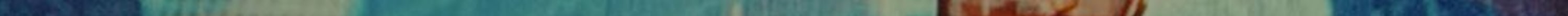 Vue.js Development