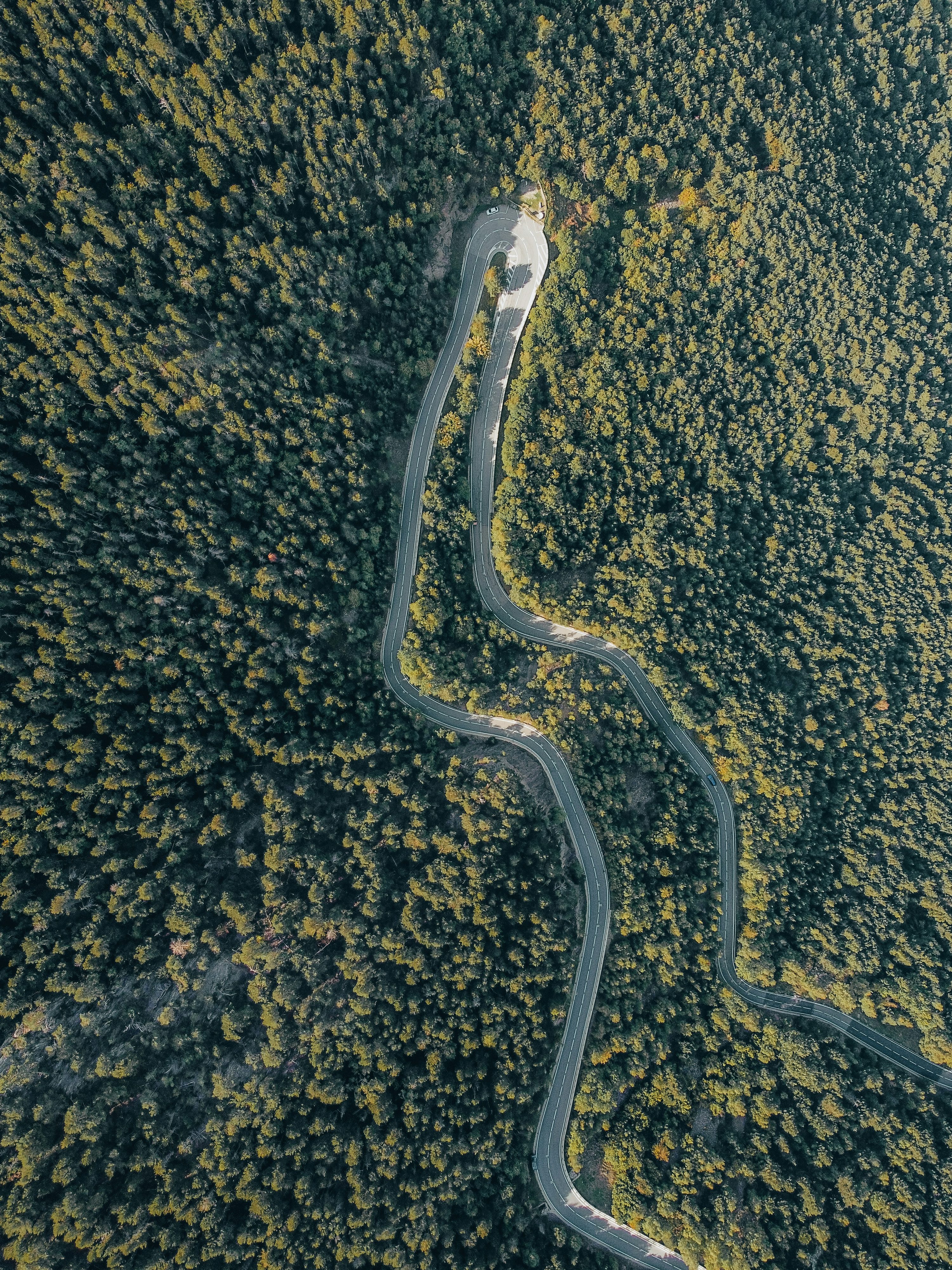 Python Development