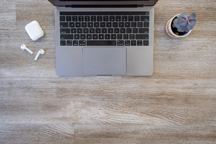 React Web Development
