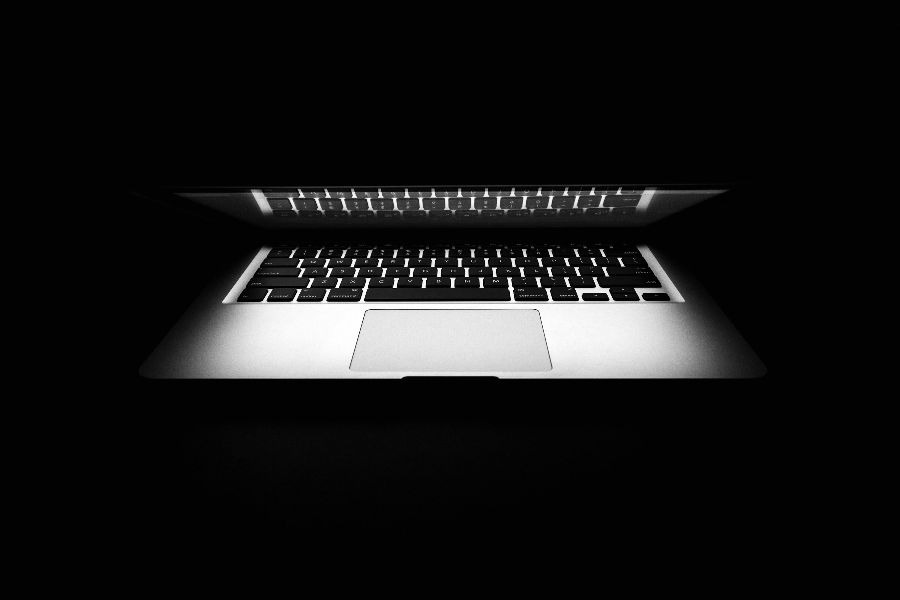 React Web Development