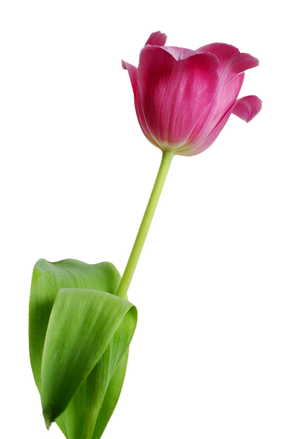 Agile Development Benefits
